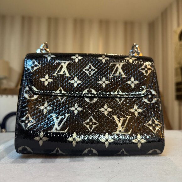 Louis Vuitton Python Crossbody Bag - Picture 6 of 10